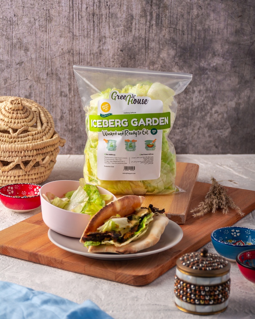 Iceberg Garden