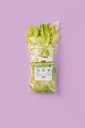 Iceberg Garden Dash Pack