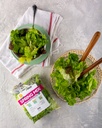 Spring Mix